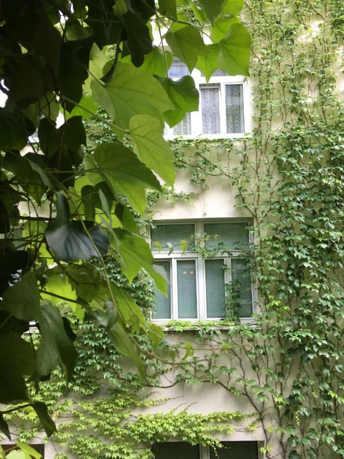 Charmante Altbauapartments Apostelgasse فيينا المظهر الخارجي الصورة